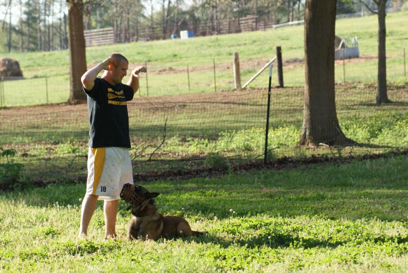 Patrol Canines | Kasseburg Canine Training | New Market, Alabama